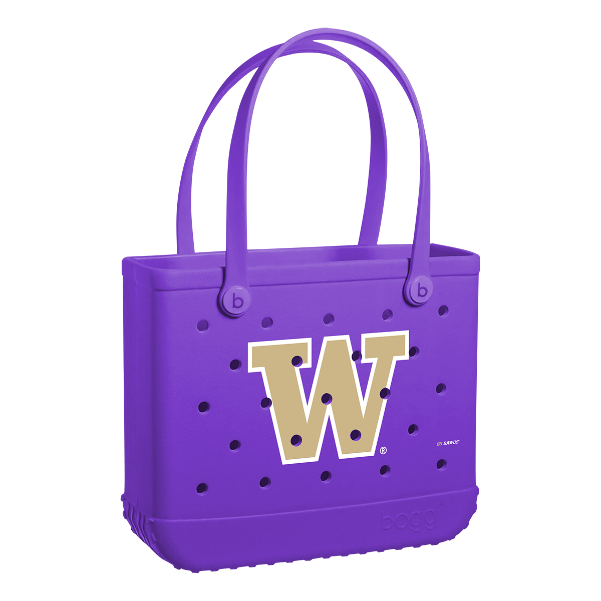 Baby_Washington-Huskies_A